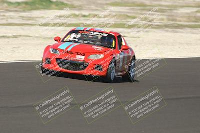 media/Feb-23-2025-CalClub SCCA (Sun) [[bfce4a12aa]]/Group 2/Race Turn 6/